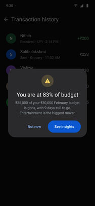Google Pay, the final screens: Budget alert