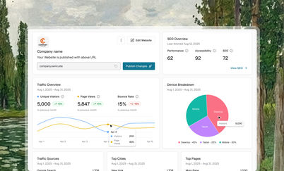 Marketplace, web: Analytics-WB